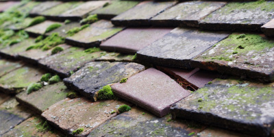 Walton Manor roof repair costs